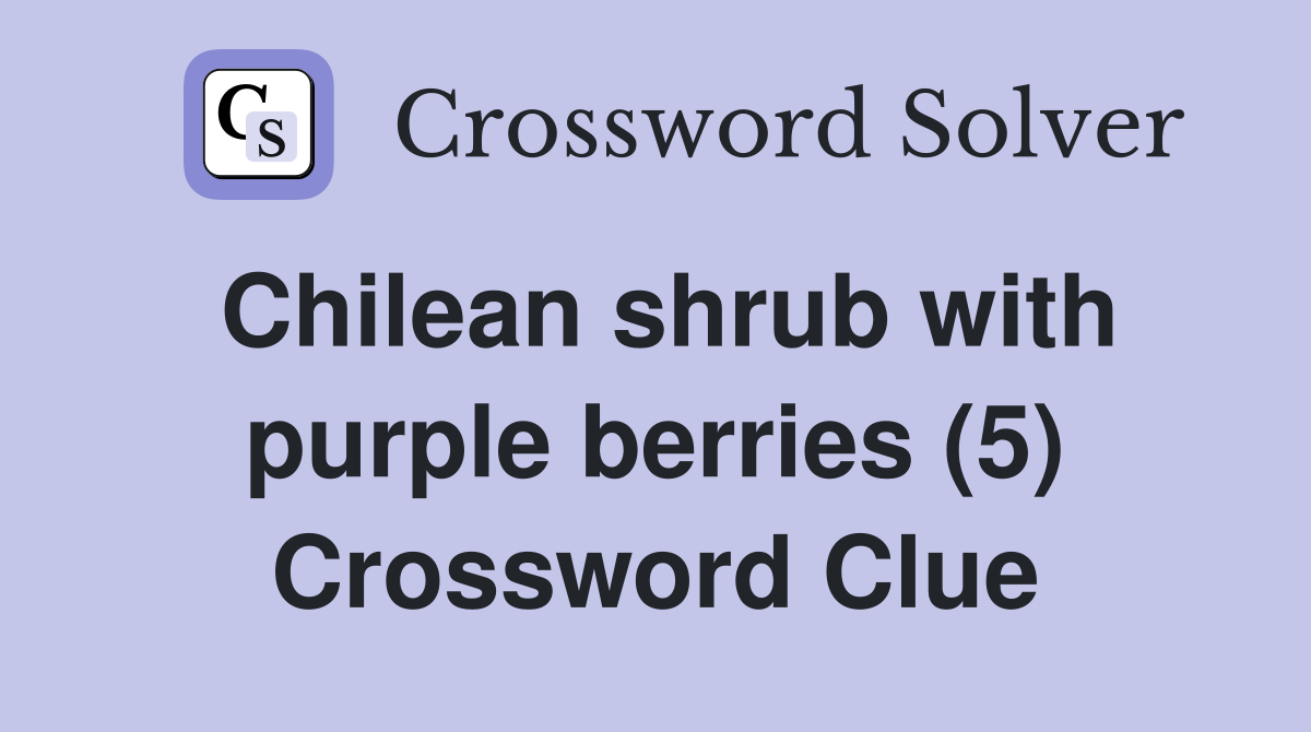 Chilean shrub with purple berries (5) Crossword Clue