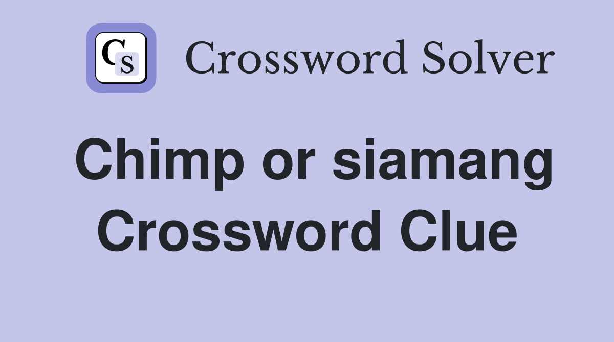 Chimp or siamang Crossword Clue