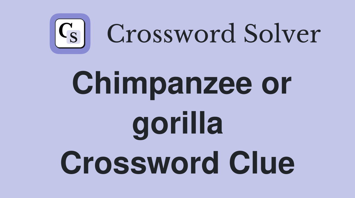 Chimpanzee or gorilla Crossword Clue