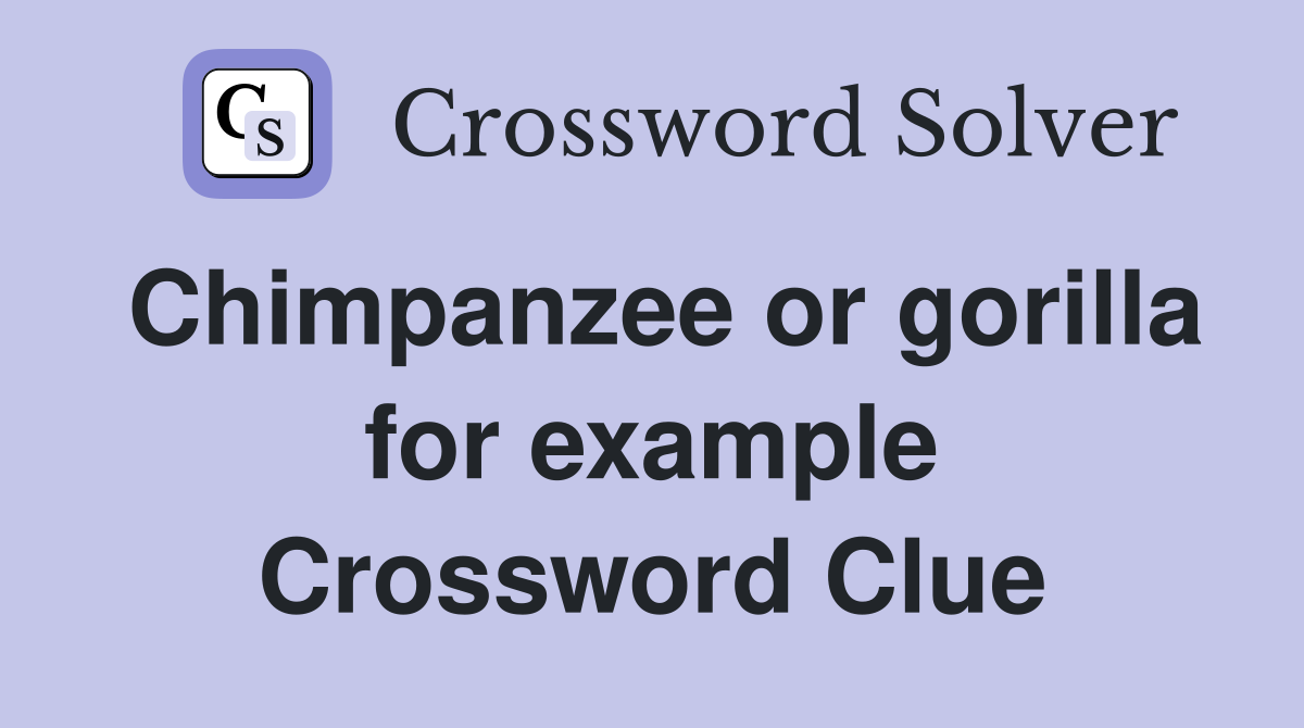 Chimpanzee or gorilla for example Crossword Clue