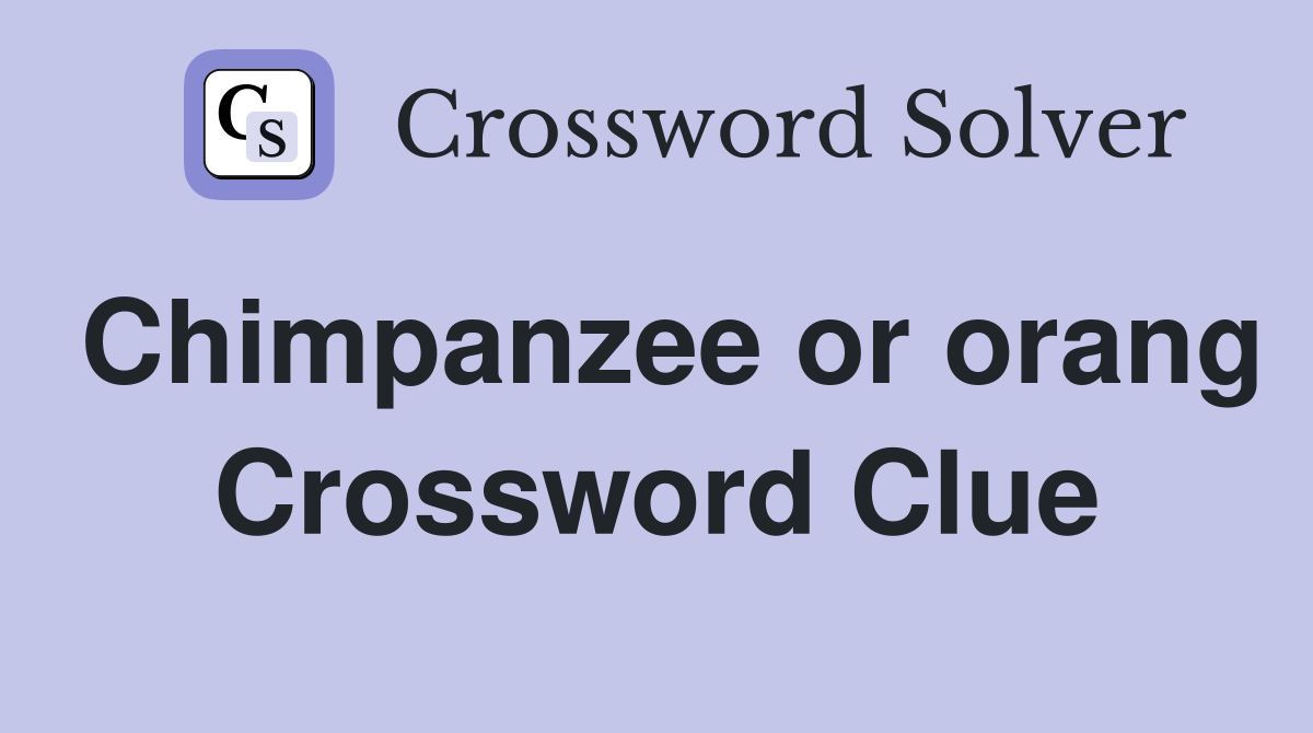 Chimpanzee or orang Crossword Clue