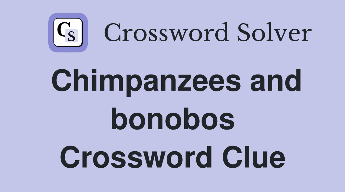 Chimpanzees and bonobos Crossword Clue