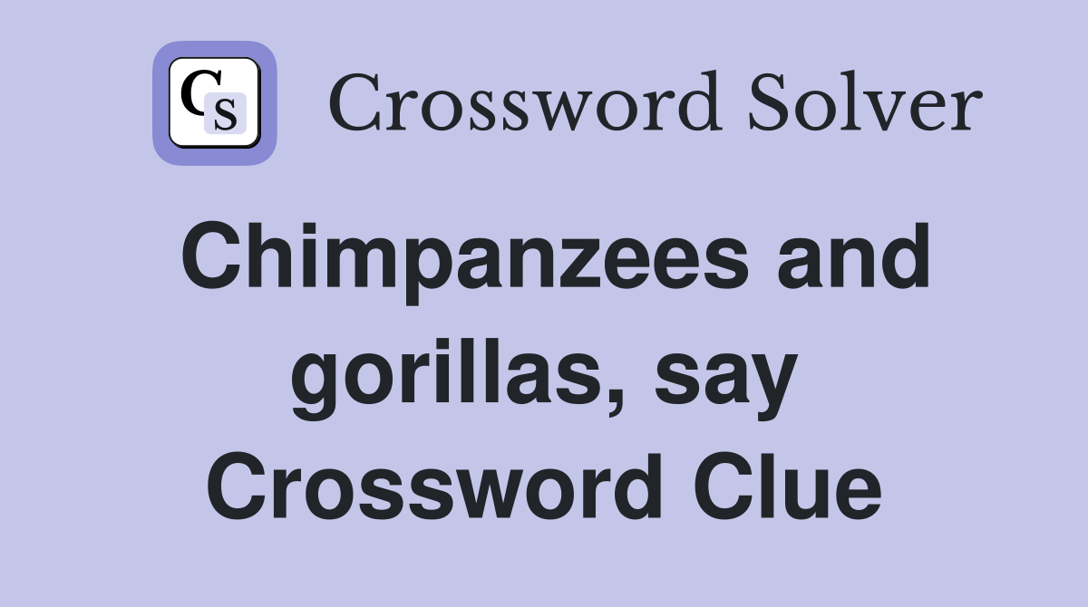 Chimpanzees and gorillas, say Crossword Clue