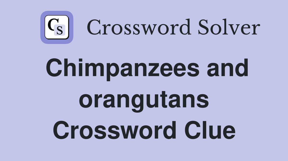 Chimpanzees and orangutans Crossword Clue