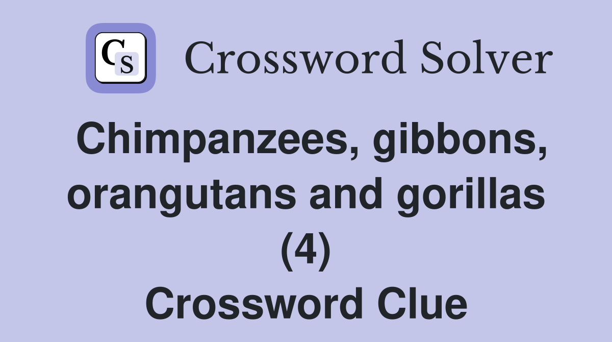 Chimpanzees, gibbons, orangutans and gorillas (4) Crossword Clue