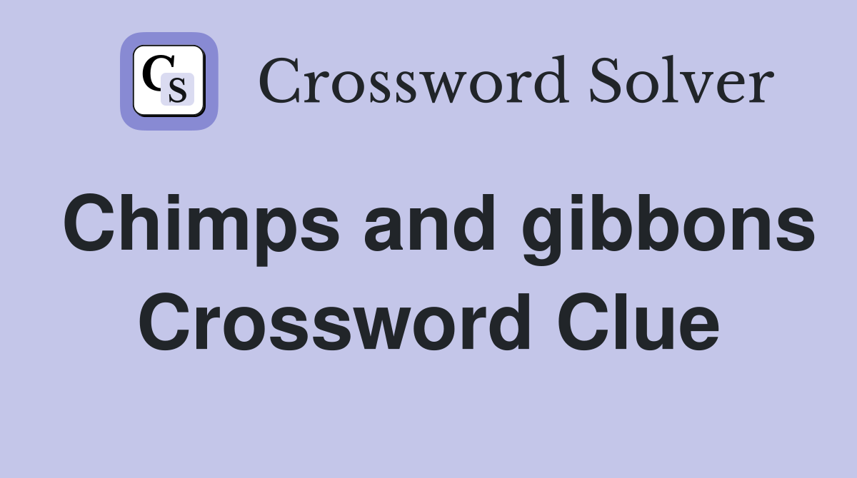 Chimps and gibbons Crossword Clue