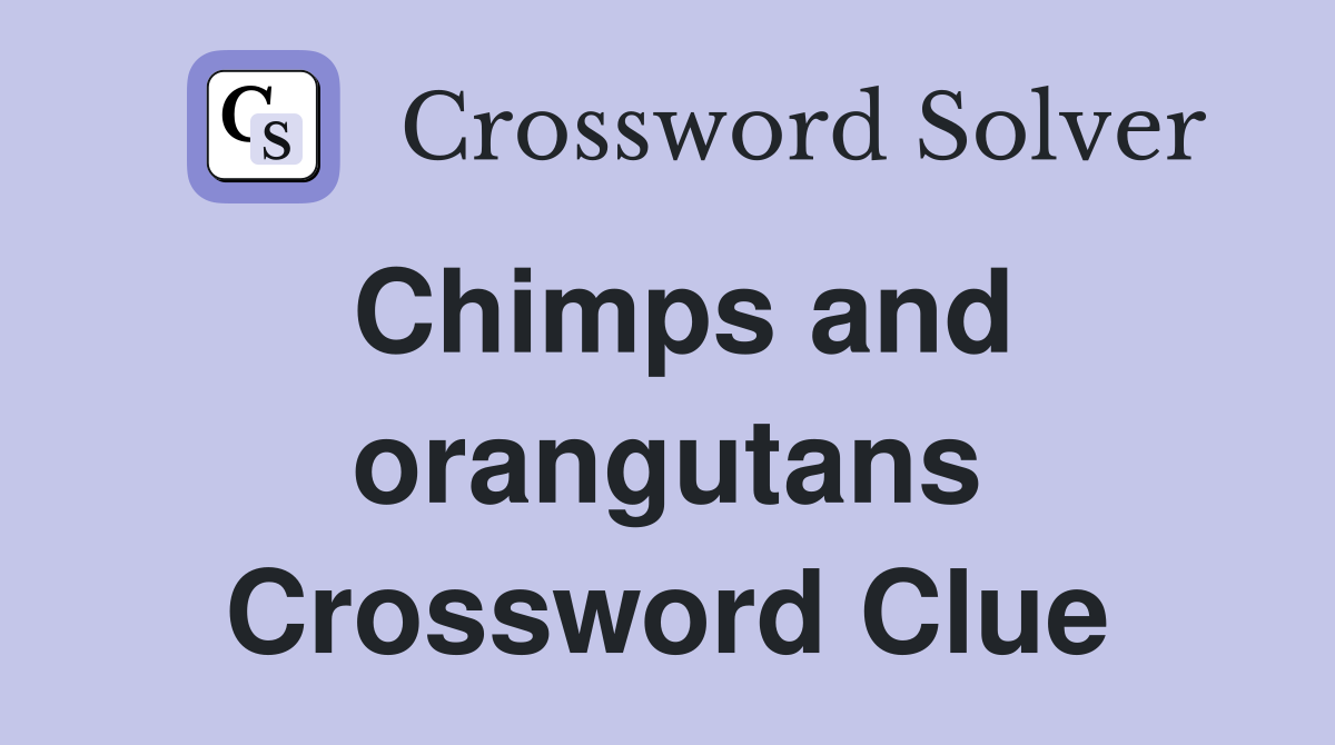 Chimps and orangutans Crossword Clue
