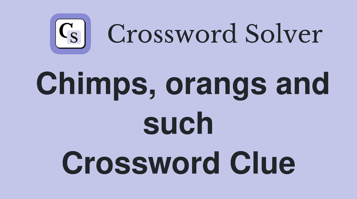 Chimps, orangs and such Crossword Clue