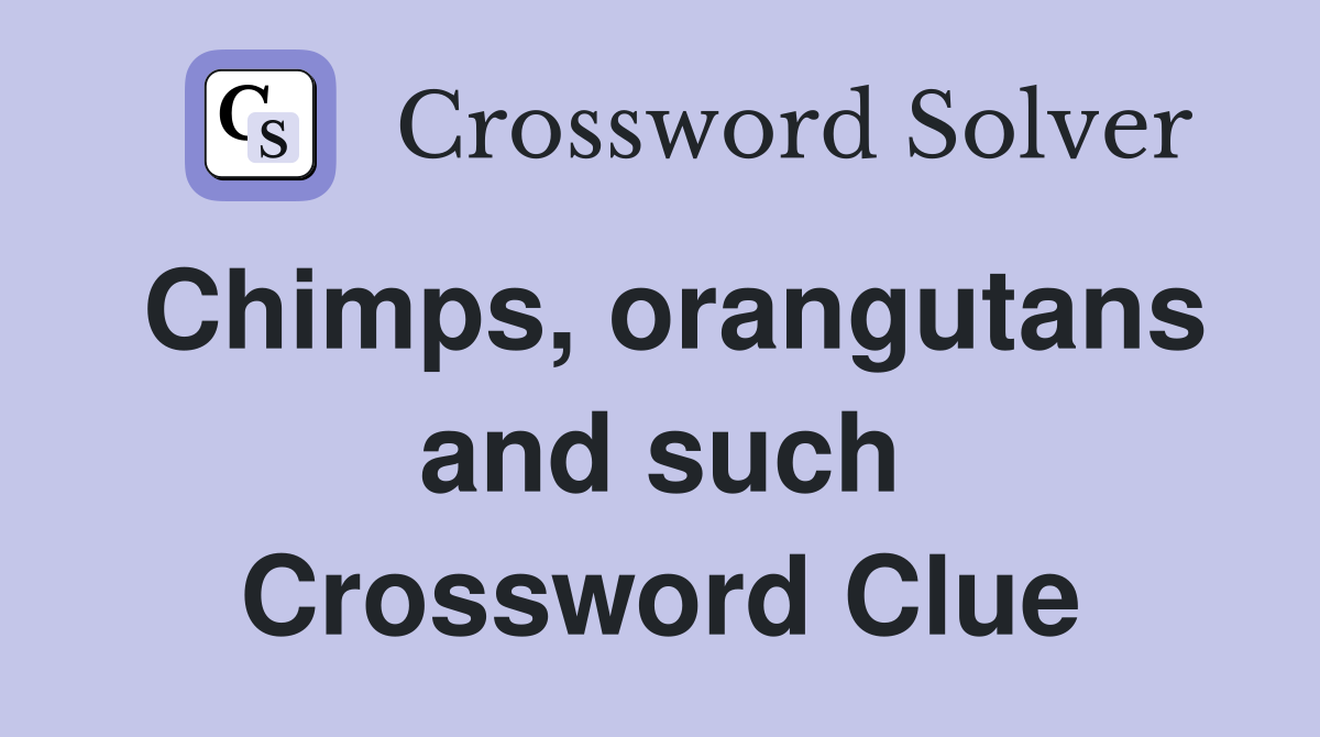 Chimps, orangutans and such Crossword Clue