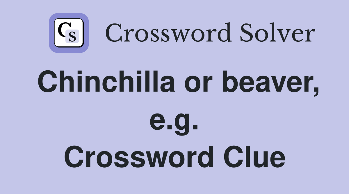 Chinchilla or beaver, e.g. Crossword Clue
