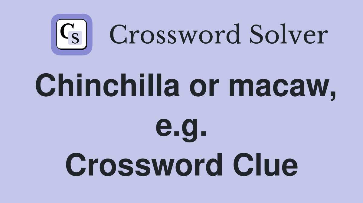 Chinchilla or macaw, e.g. Crossword Clue