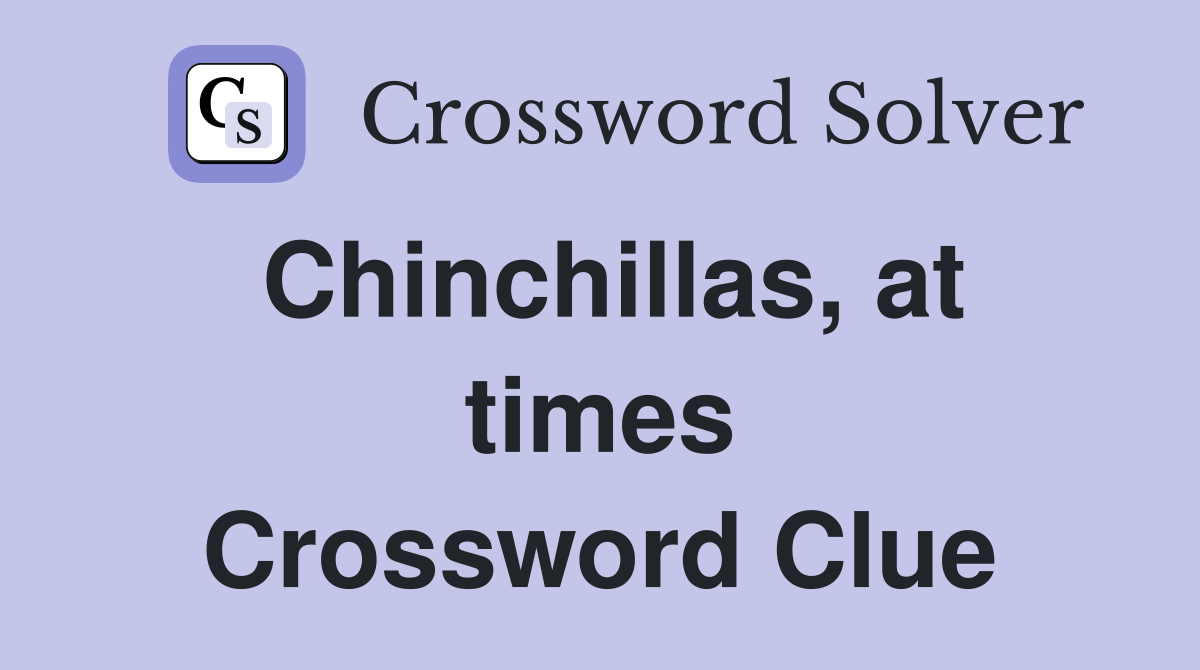 Chinchillas, at times Crossword Clue