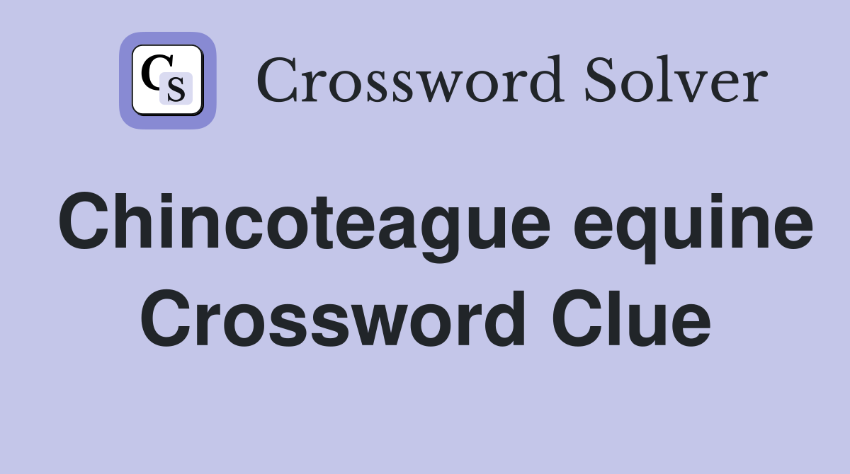 Chincoteague equine Crossword Clue