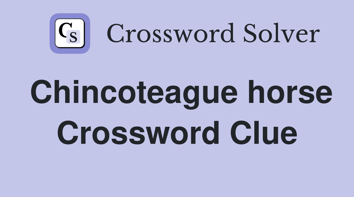 Chincoteague horse Crossword Clue
