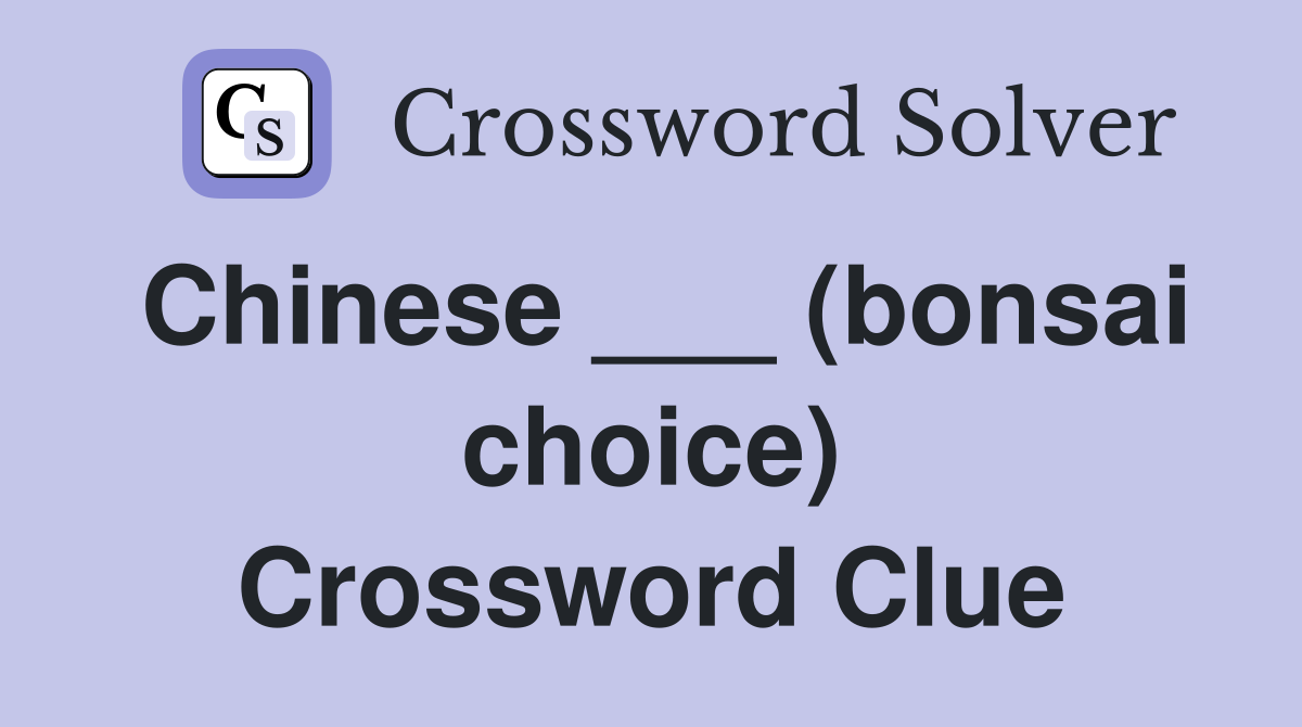 Chinese ___ (bonsai choice) Crossword Clue