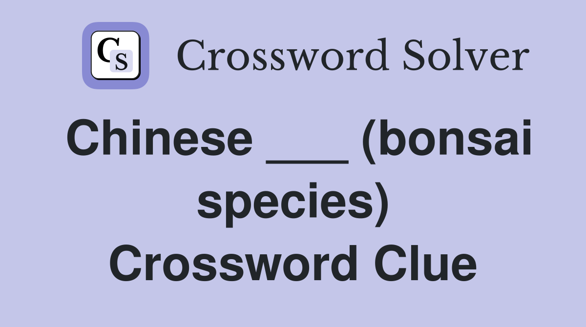 Chinese ___ (bonsai species) Crossword Clue