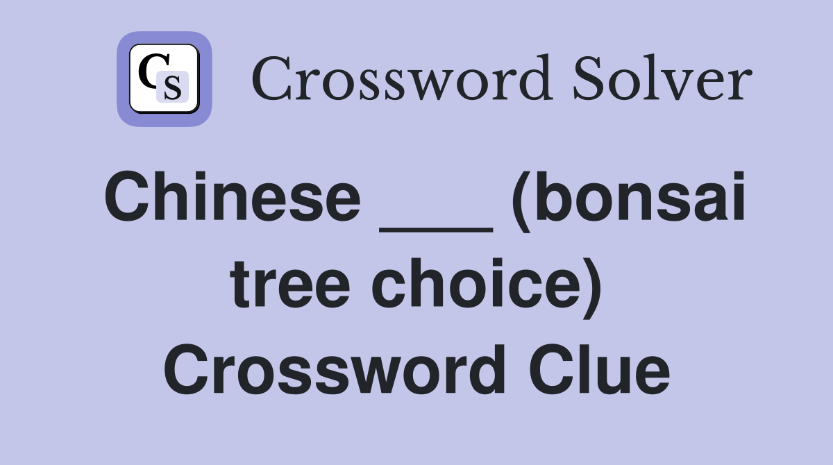 Chinese ___ (bonsai tree choice) Crossword Clue