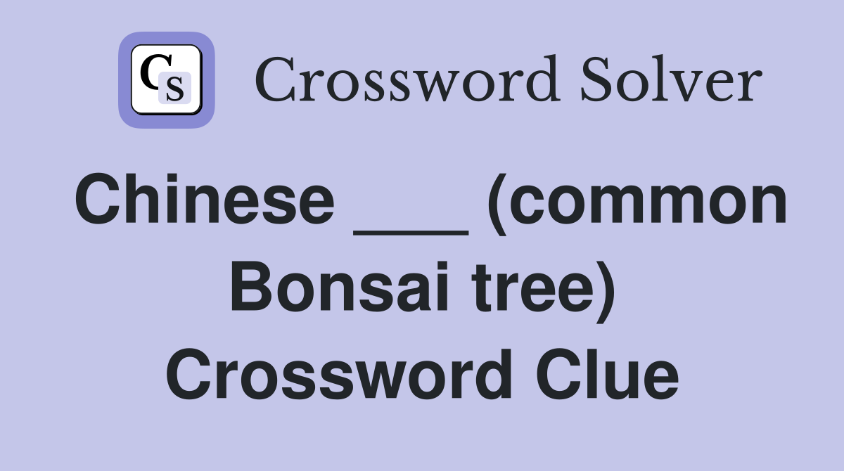 Chinese ___ (common Bonsai tree) Crossword Clue