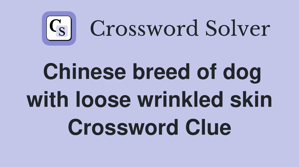 Chinese breed of dog with loose wrinkled skin Crossword Clue