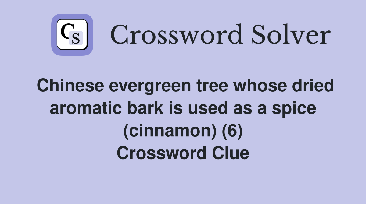 Chinese evergreen tree whose dried aromatic bark is used as a spice (cinnamon) (6) Crossword Clue