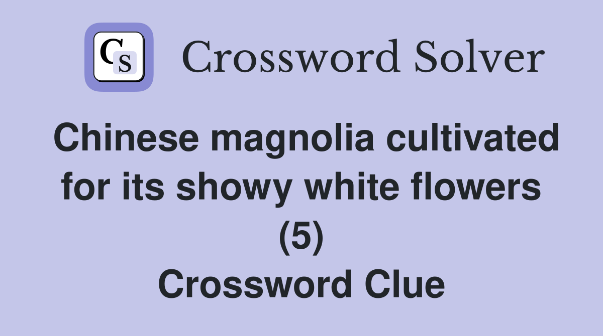 Chinese magnolia cultivated for its showy white flowers (5) Crossword Clue