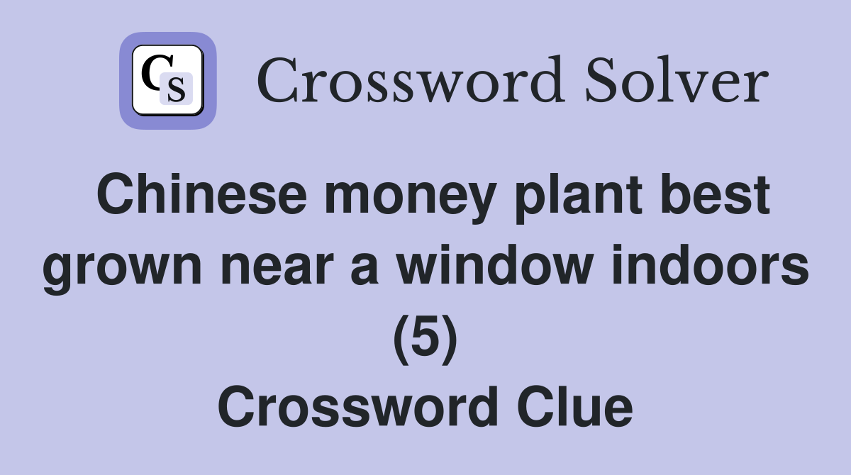 Chinese money plant best grown near a window indoors (5) Crossword Clue