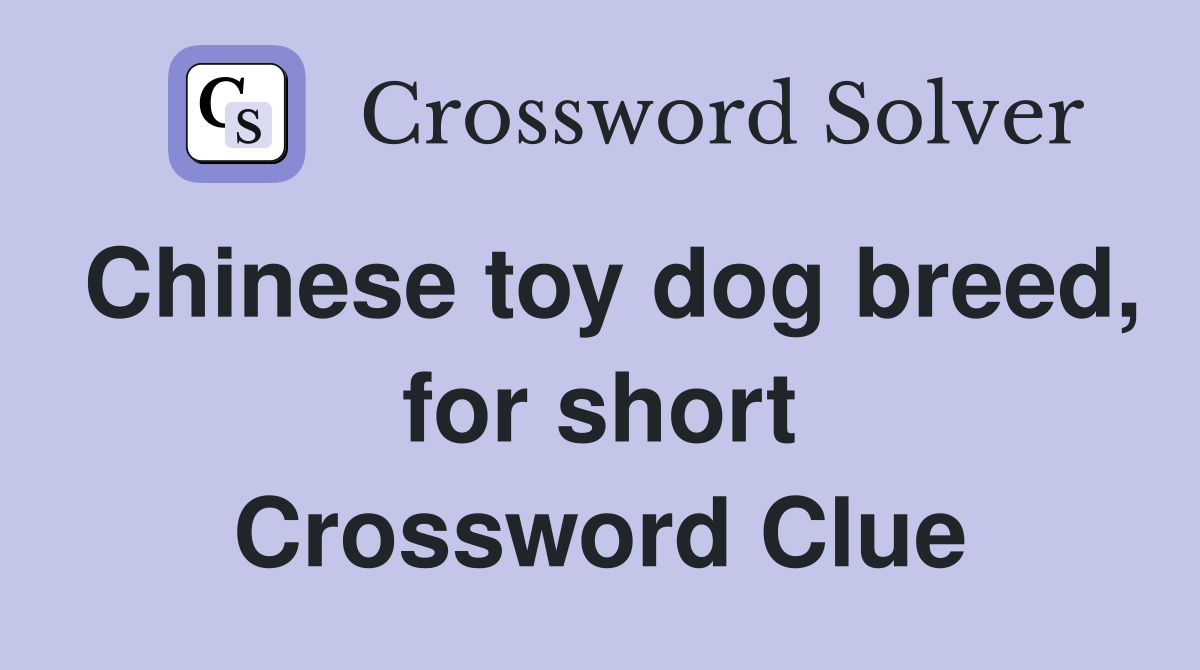 Chinese toy dog breed, for short Crossword Clue