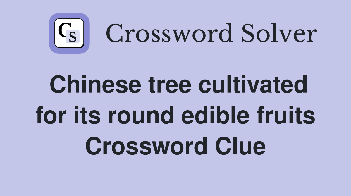 Chinese tree cultivated for its round edible fruits Crossword Clue