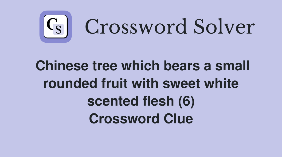 Chinese tree which bears a small rounded fruit with sweet white scented flesh (6) Crossword Clue