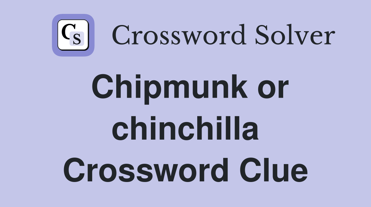 Chipmunk or chinchilla Crossword Clue