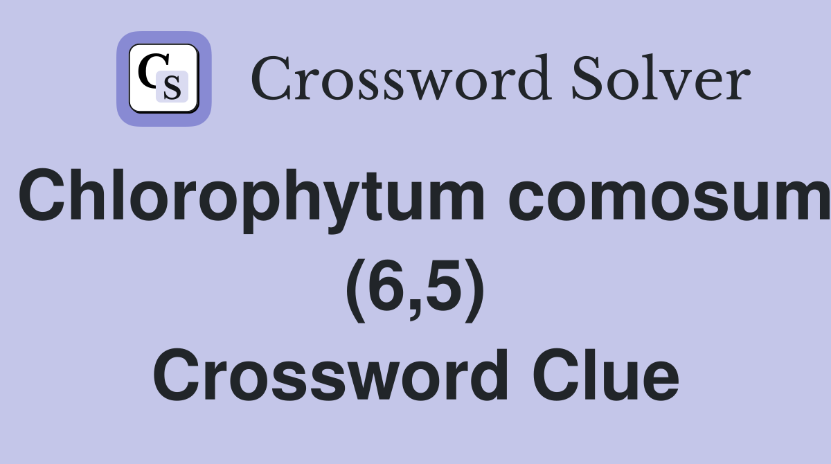 Chlorophytum comosum (6,5) Crossword Clue