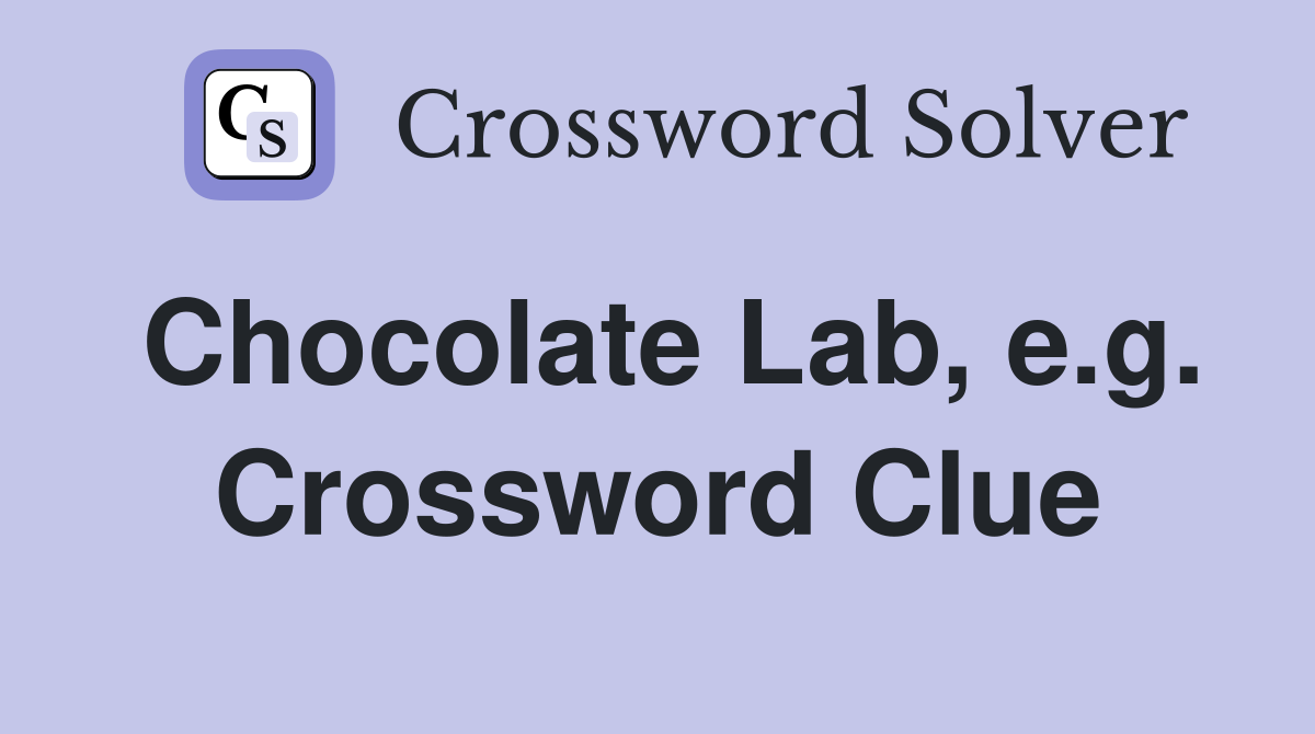 Chocolate Lab, e.g. Crossword Clue