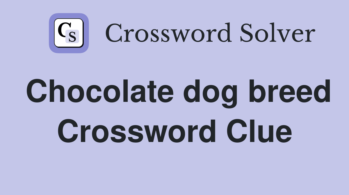 Chocolate dog breed Crossword Clue