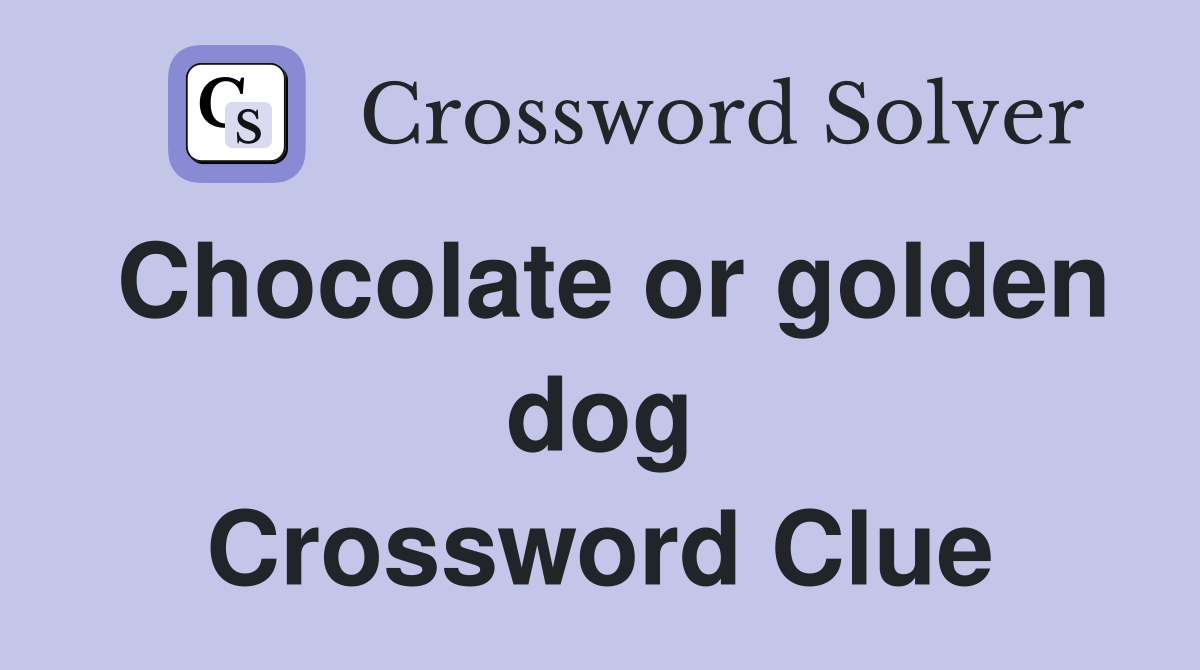 Chocolate or golden dog Crossword Clue