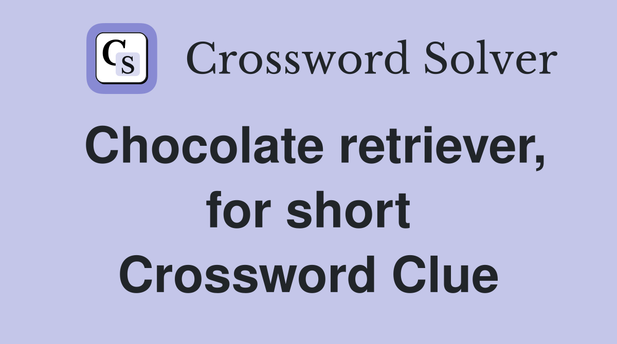 Chocolate retriever, for short Crossword Clue