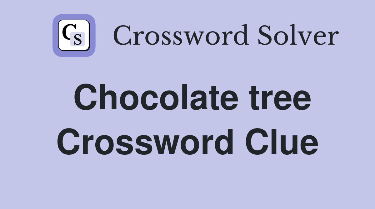 Chocolate tree Crossword Clue