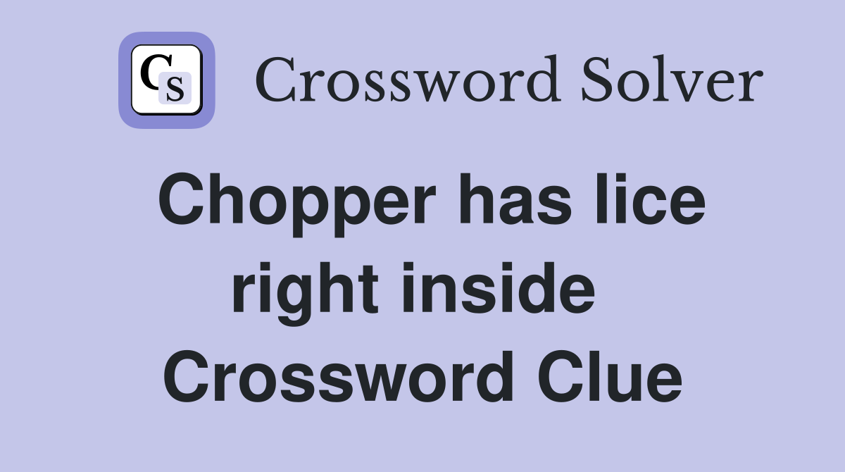 Chopper has lice right inside  Crossword Clue