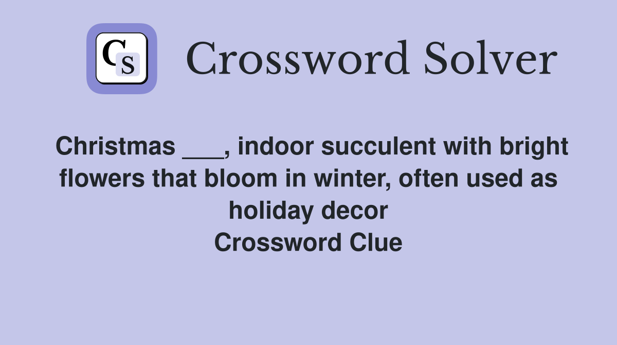 Christmas ___, indoor succulent with bright flowers that bloom in winter, often used as holiday decor Crossword Clue
