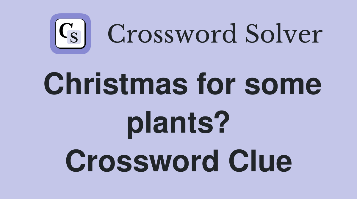 Christmas for some plants? Crossword Clue