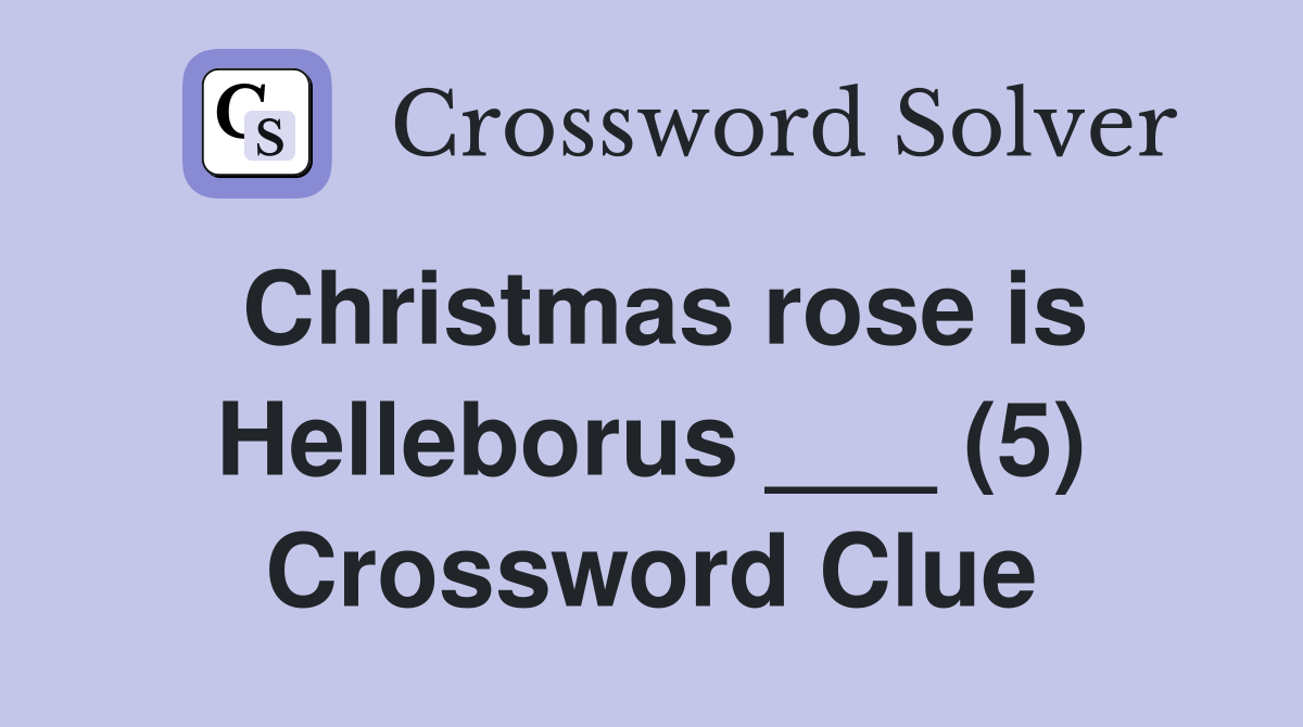 Christmas rose is Helleborus ___ (5) Crossword Clue