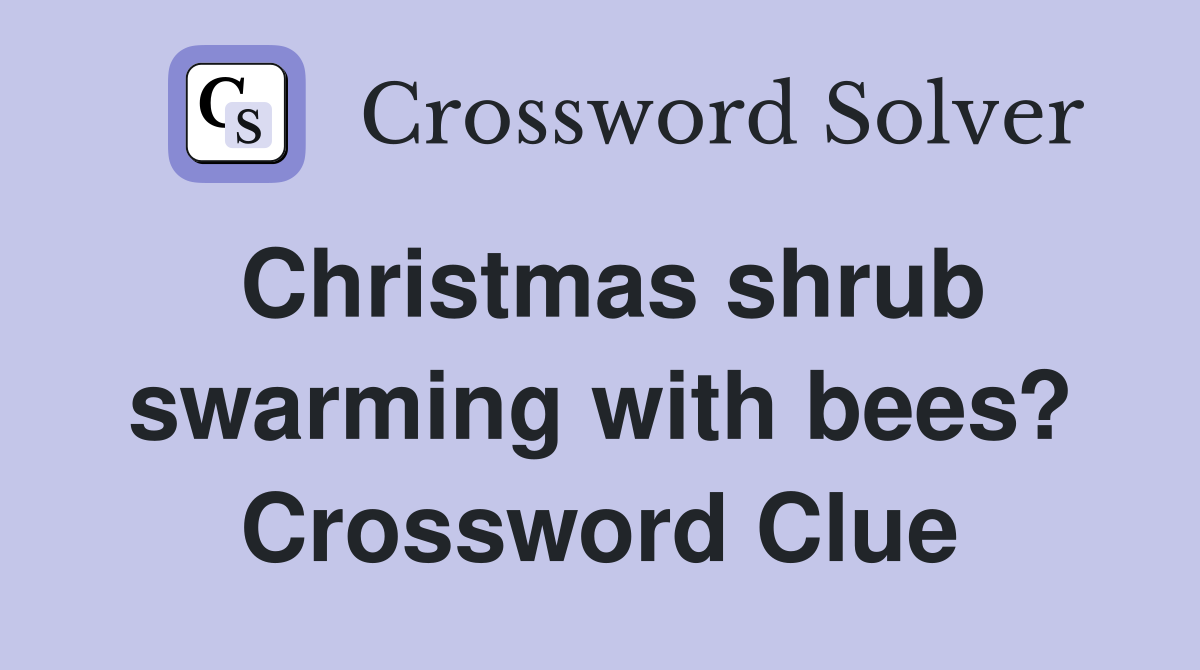 Christmas shrub swarming with bees? Crossword Clue