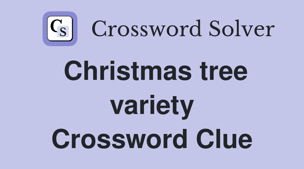 Christmas tree variety Crossword Clue