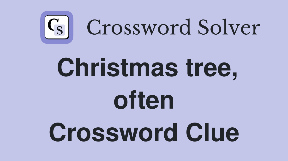 Christmas tree, often Crossword Clue