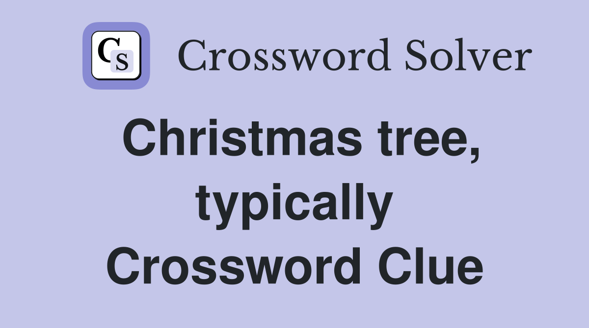 Christmas tree, typically Crossword Clue