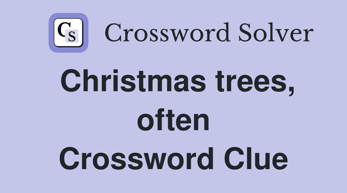 Christmas trees, often Crossword Clue