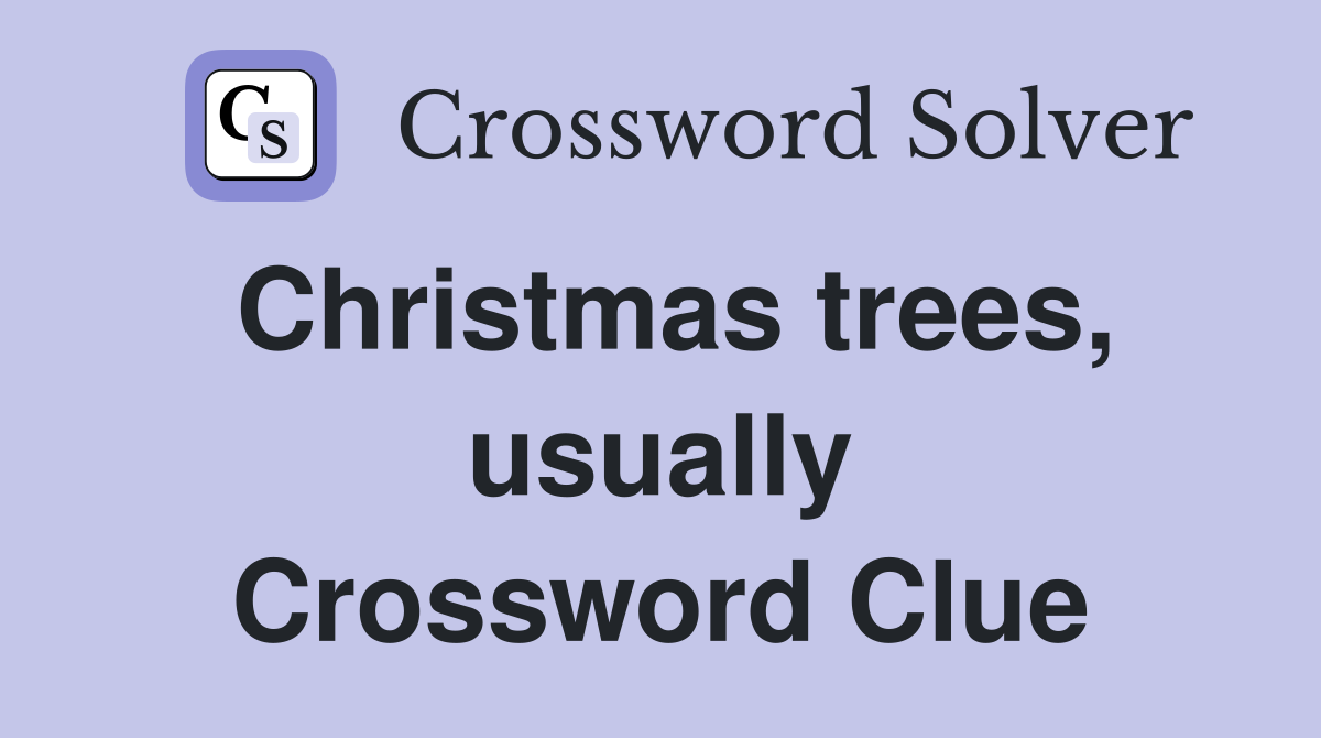 Christmas trees, usually Crossword Clue