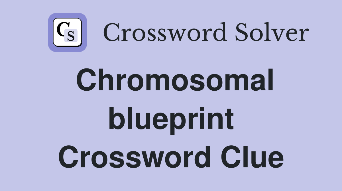 Chromosomal blueprint Crossword Clue