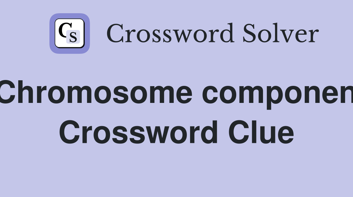 Chromosome component Crossword Clue