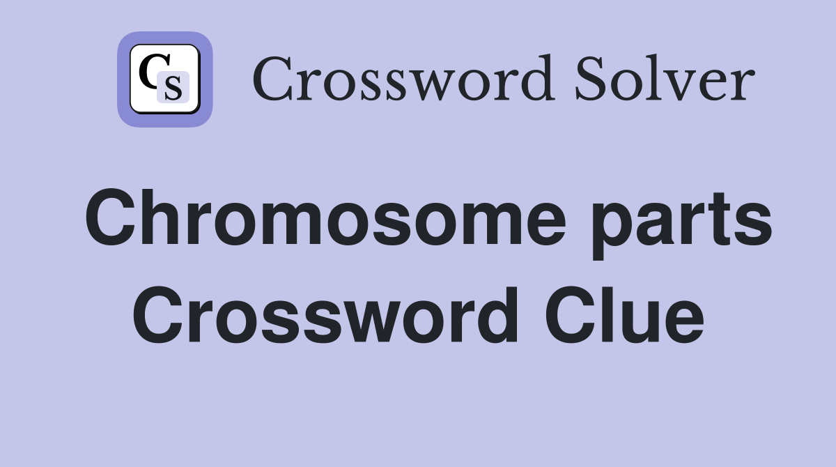 Chromosome parts Crossword Clue