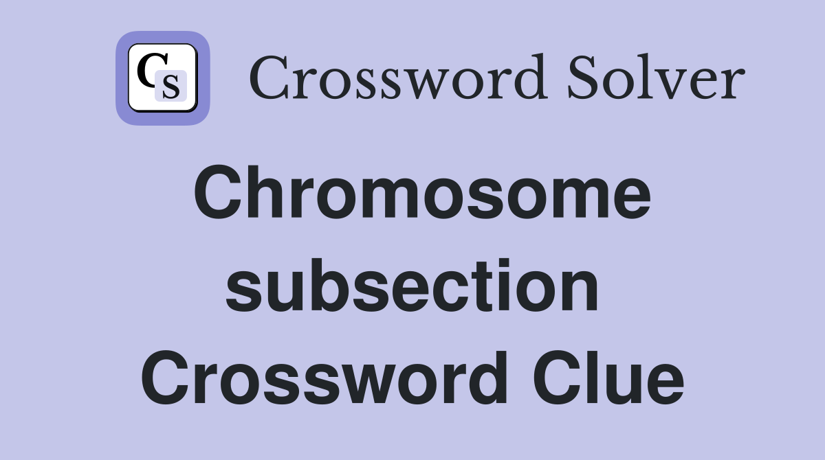 Chromosome subsection Crossword Clue